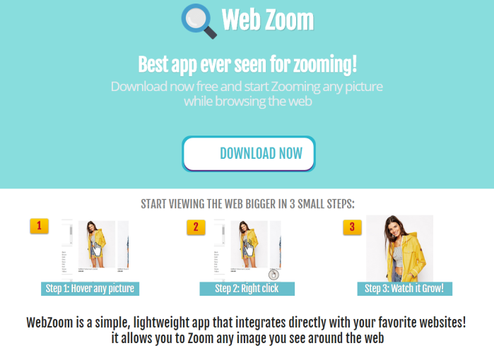 Web Zoom